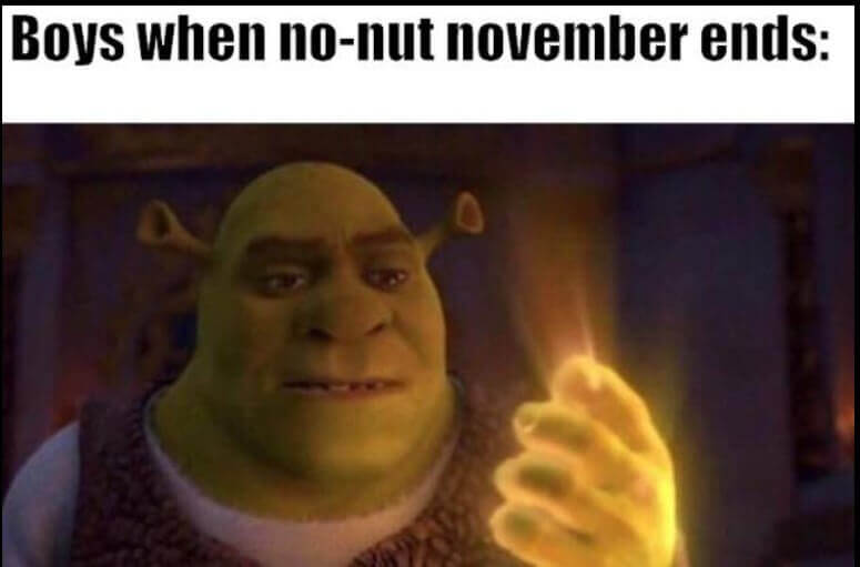 No Nut November Memes