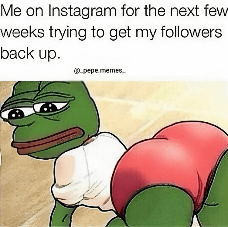 pepe the frog meme